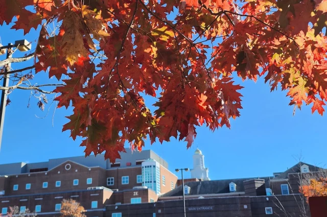 VA Connecticut Healthcare System - Newington Campus (116A)