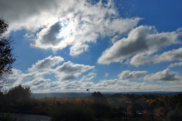 Westborough Behavioral Healthcare Hospital