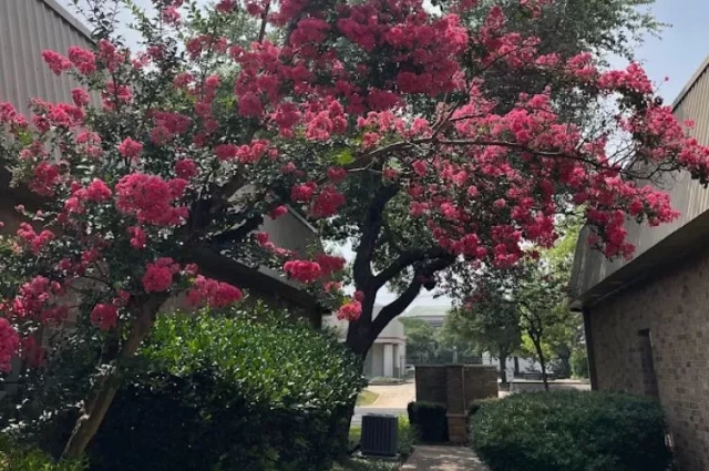 Anxiety Treatment Center of Austin