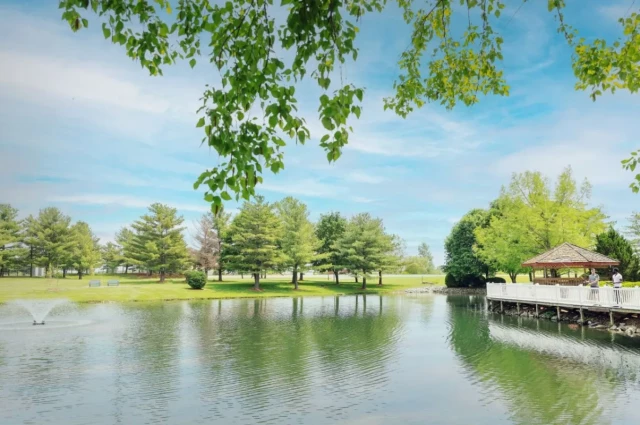 Lincoln Park Therapy Group