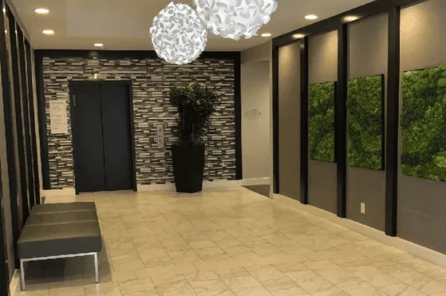 Time Wellness Georgia