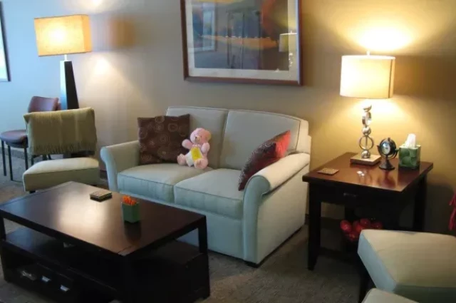 The Emily Program Duluth