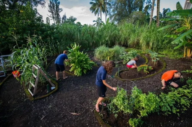 Pacific Quest Pacific Quest