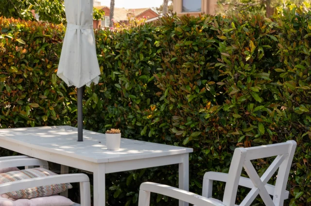 Miracles of Dignity - Germain Women's Sober House