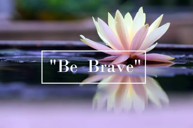 A Time to Rise Counseling and Wellness A Time to Rise Counseling and Wellness