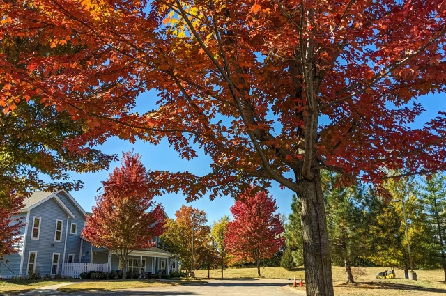 RockBridge Treatment and Recovery