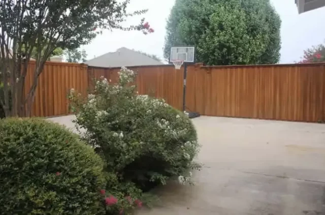 Real Deal Plano