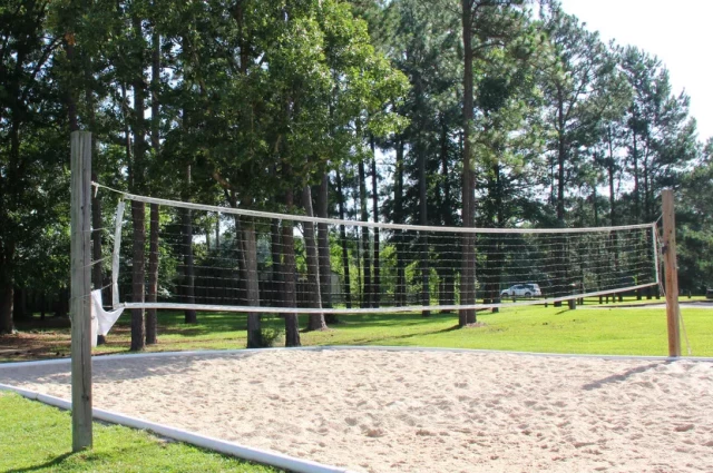 Pine Grove Next Step