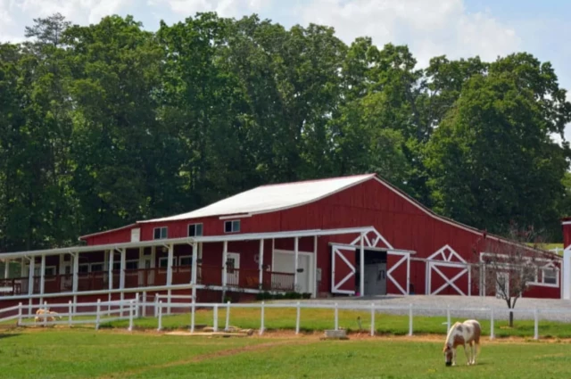 The Stables Autism Program