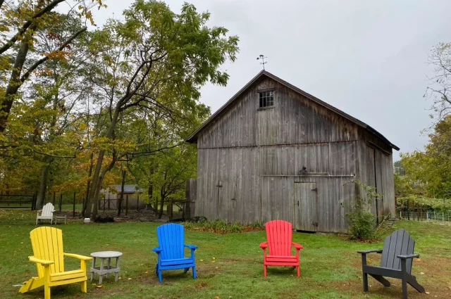 Recovery at WildWood Farm