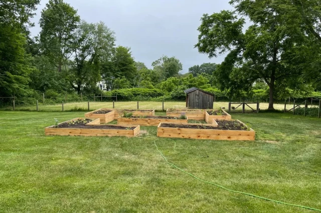 Recovery at WildWood Farm
