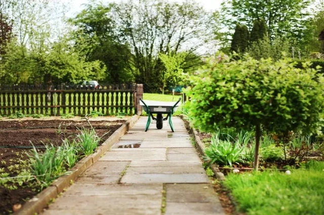 The Better Path Foundation