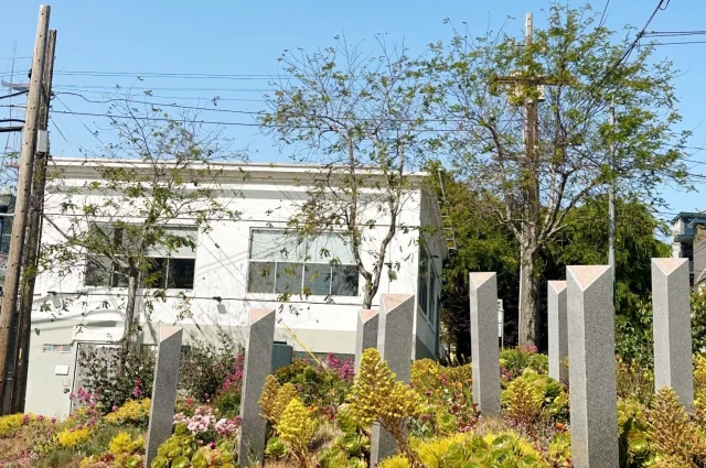 The Lotus Collaborative San Francisco