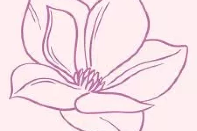 Magnolia Women's Recovery Programs