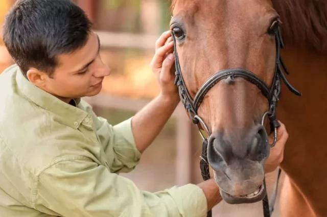 Eagle Creek Ranch Recovery for Men