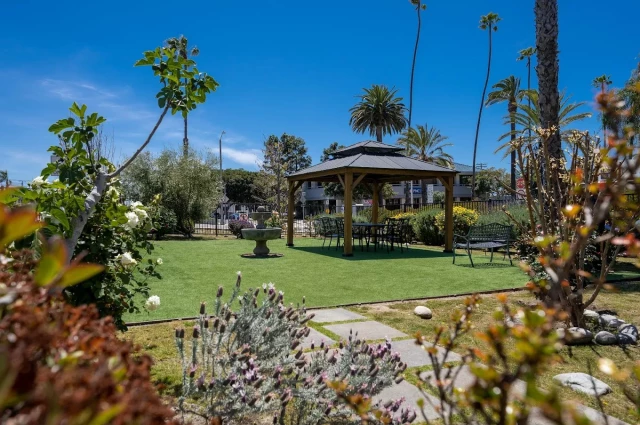 Crownview Co-Occurring Institute Crownview Co-Occurring Institute