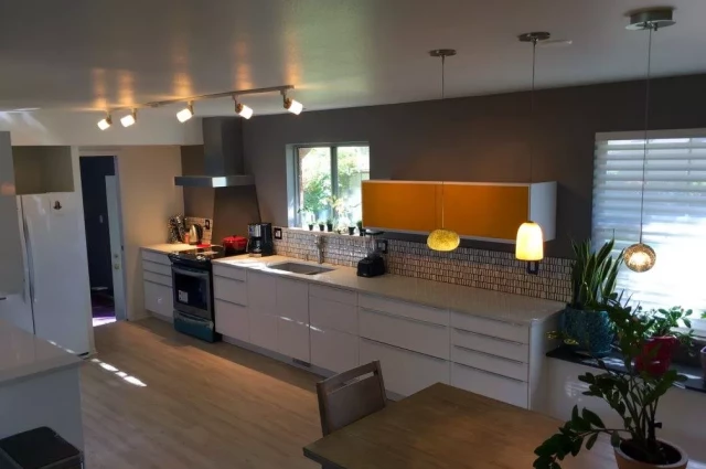 The Lotus Collaborative Santa Cruz