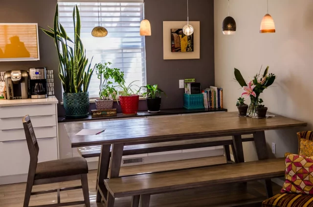 The Lotus Collaborative Santa Cruz