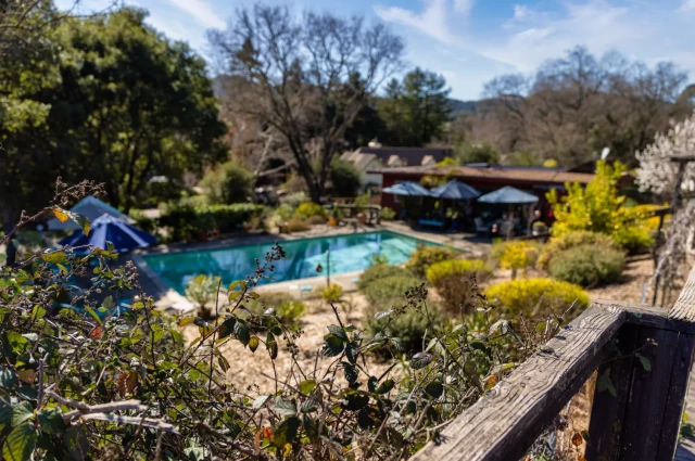 Live Oaks Wellness Live Oaks Wellness