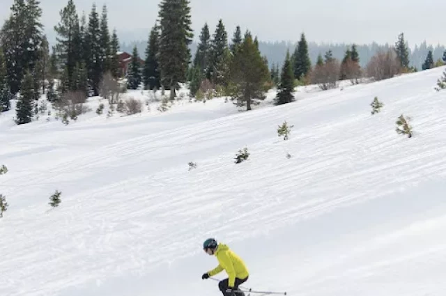 Crow's Nest Ranch
