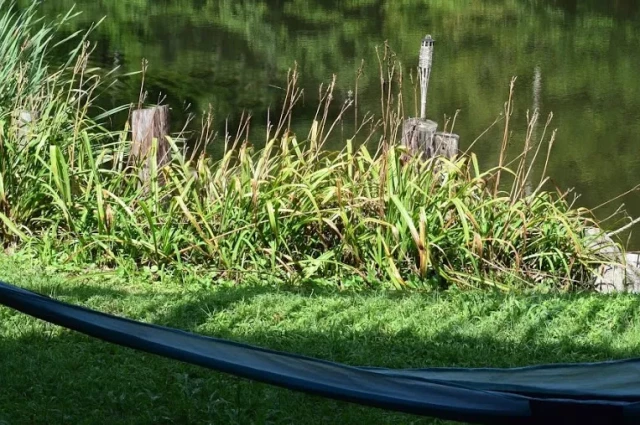Still Waters for Women