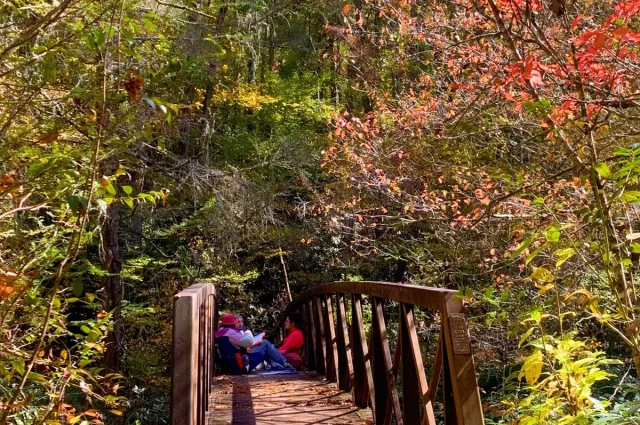 Blue Ridge Therapeutic Wilderness