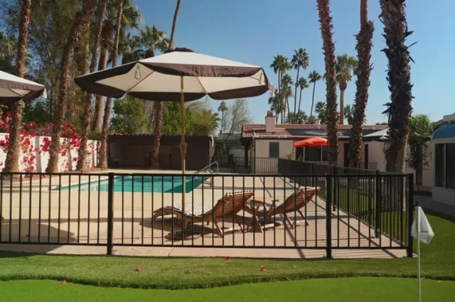 Desert Solace