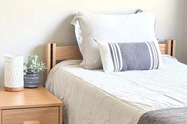 Ivory Plains Recovery