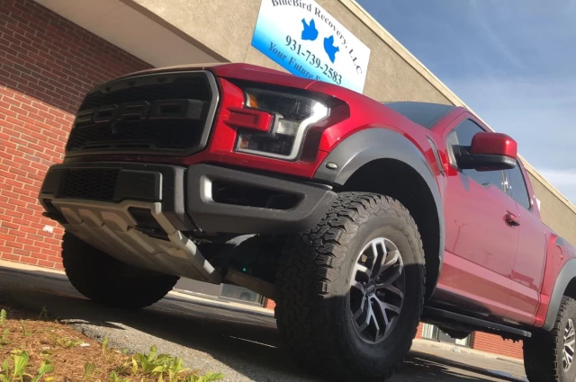 Bluebird Recovery