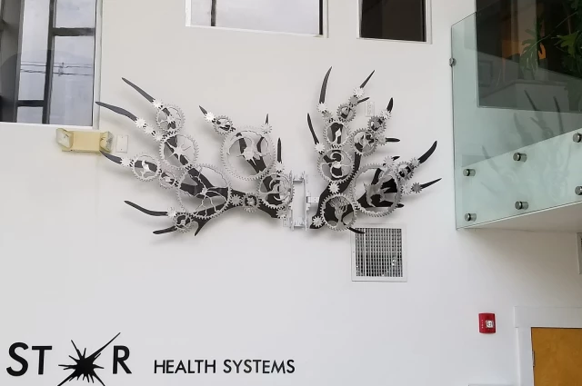 North Star Health Systems