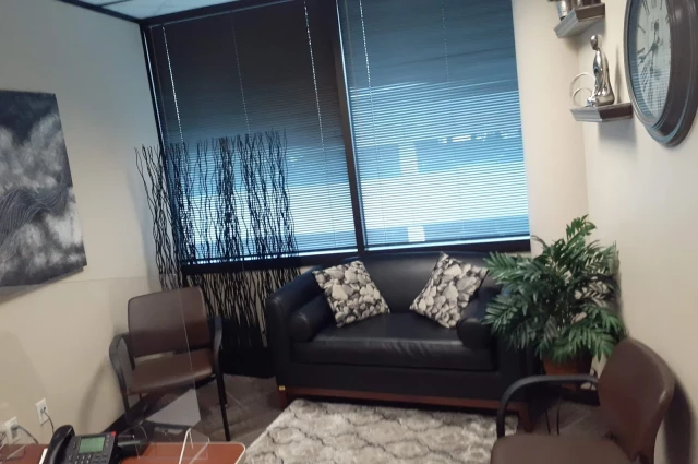 Harris Center for Mental Health - IDD - South Loop SUD Recovery Services