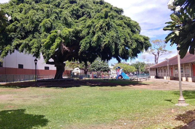 YMCA of Honolulu