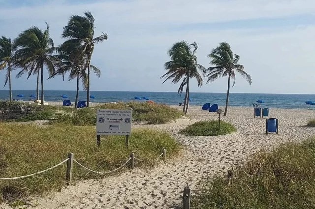 Addiction Alternatives for Opioid - Addiction Life Recovery Center 