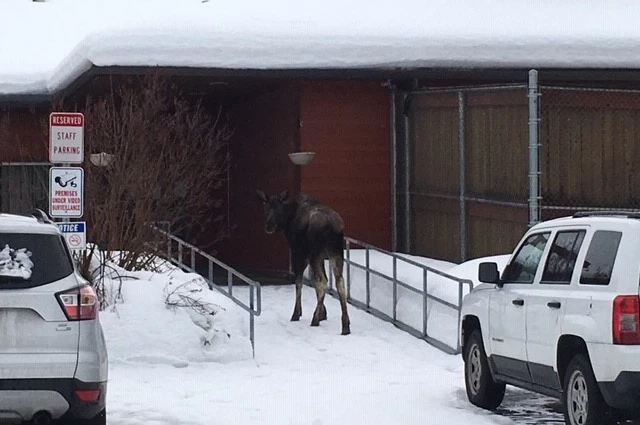 Alaska Behavioral Health
