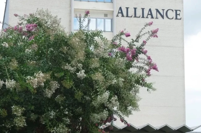 Alliance Health Center