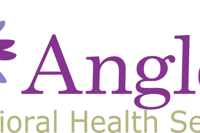 AngleZ Behavioral Health