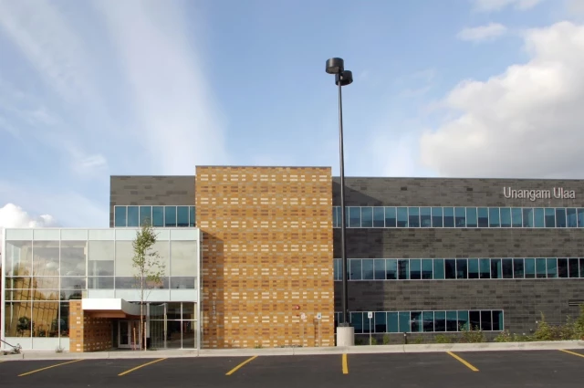 APIAI - Behavioral Health