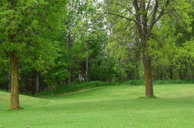 Arrowhead Center