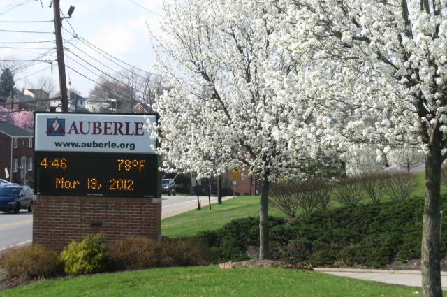 Auberle