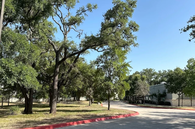 Austin Oaks Hospital