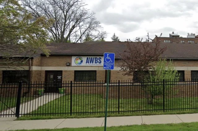 All Well-Being Services