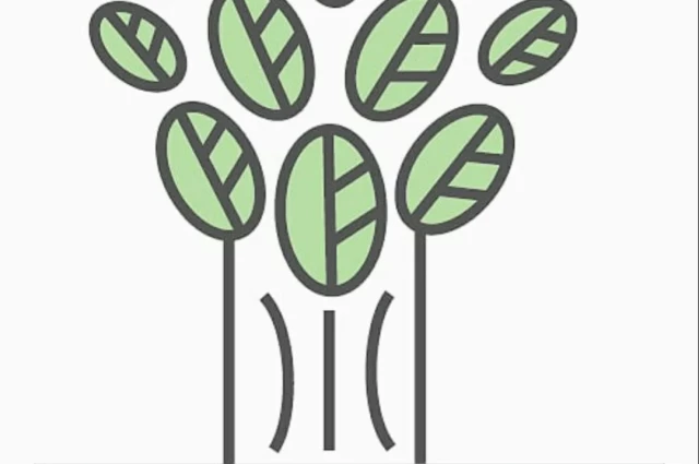 A Wellness Organization