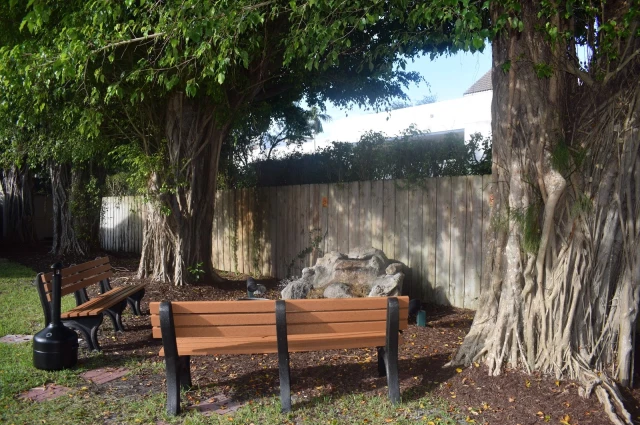Banyan Boca