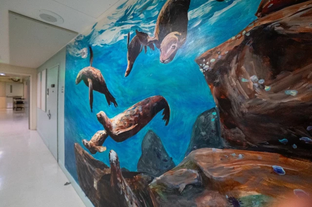 Rainforest Recovery Center - Bartlett Regional Hospital