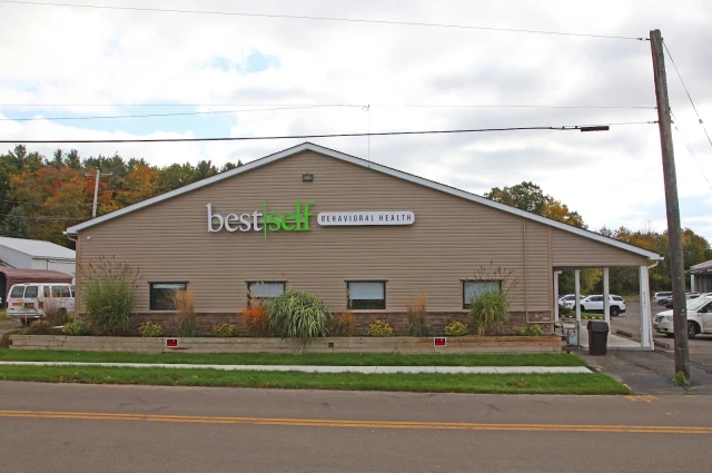 BestSelf Behavioral Health