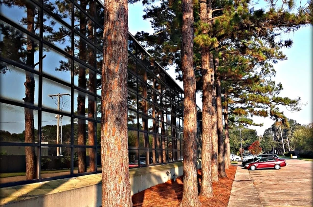 BHG - Lake Charles Treatment Center