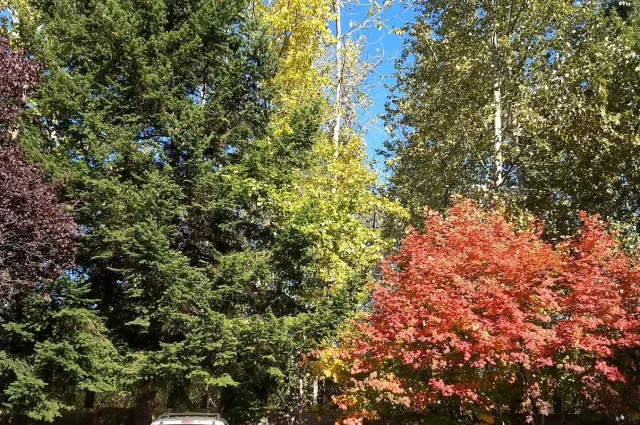 Harvest Home Residential