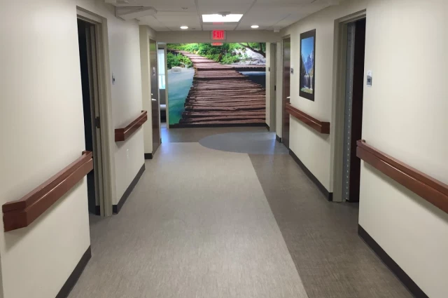 Blueridge Vista Health and Wellness