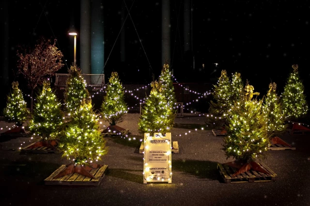 Cape Assist Cape Assist