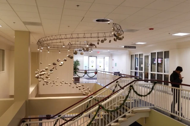 Carolina Performance Carolina Performance